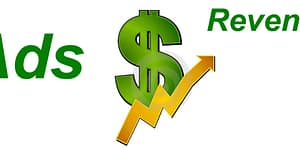 Increase website revenue